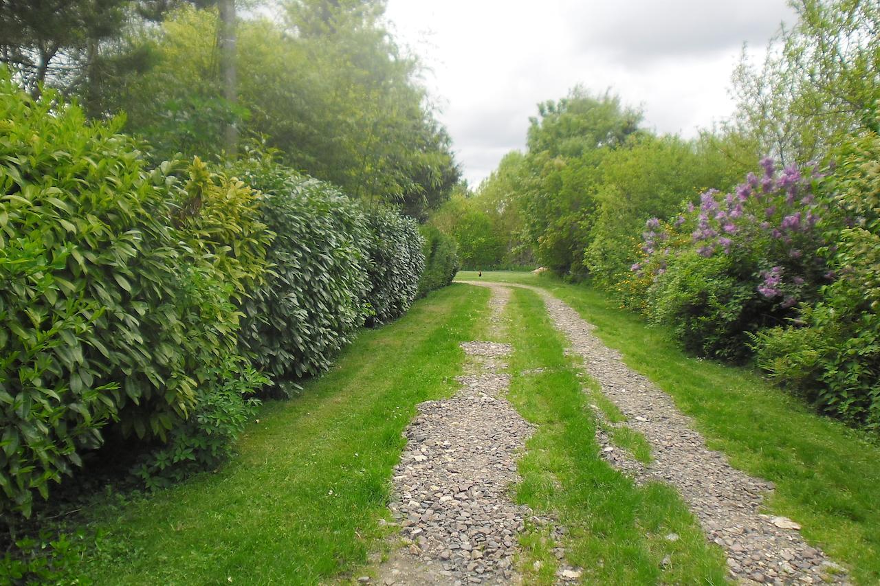 Domaine De Benveau Brécy Eksteriør bilde